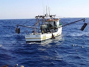 Nunes Marques autoriza pesca de arrasto no litoral do RS